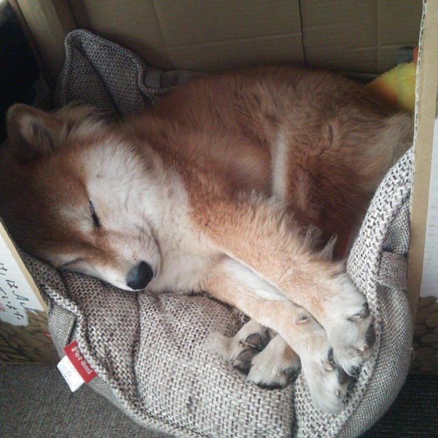 赛道逆袭记,微型奇迹哈斯如何用一场雨,击穿F里斯顿·马丁的豪华舰队?