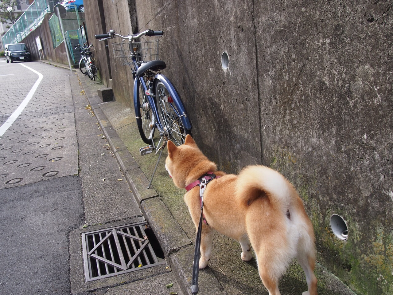 唯一性文章，友谊之巅的博弈，智利火山熔铸胜局，莫德里奇大师绝唱难挽狂澜