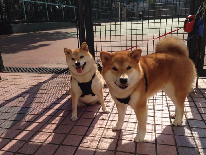 那不勒斯主场强势攻克巴萨，法比尼奥的统帅级演出成为全场焦点