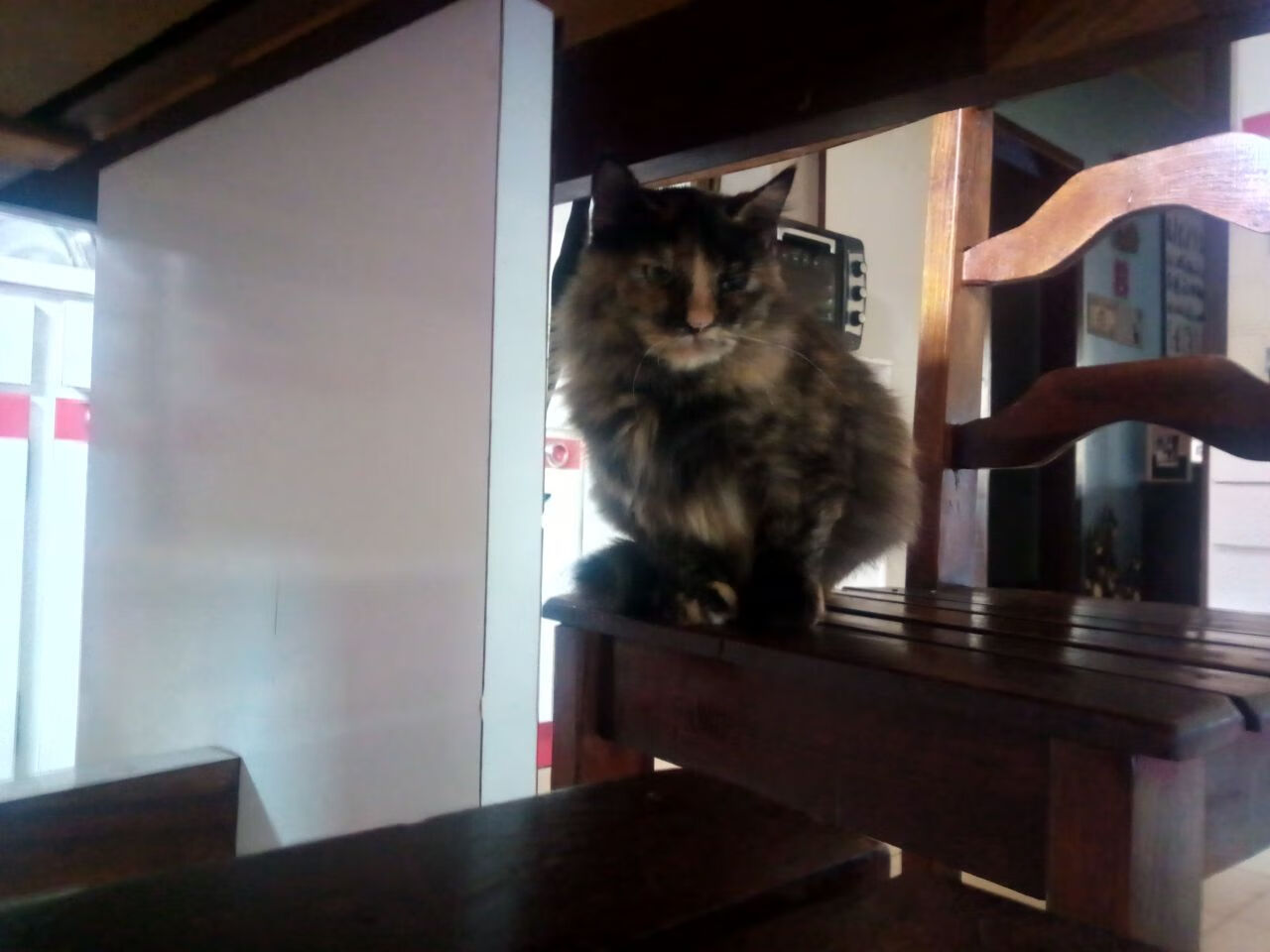 终场前奏绝杀，西班牙铁骑如何冲垮美利坚防线，赖斯末节孤星闪耀