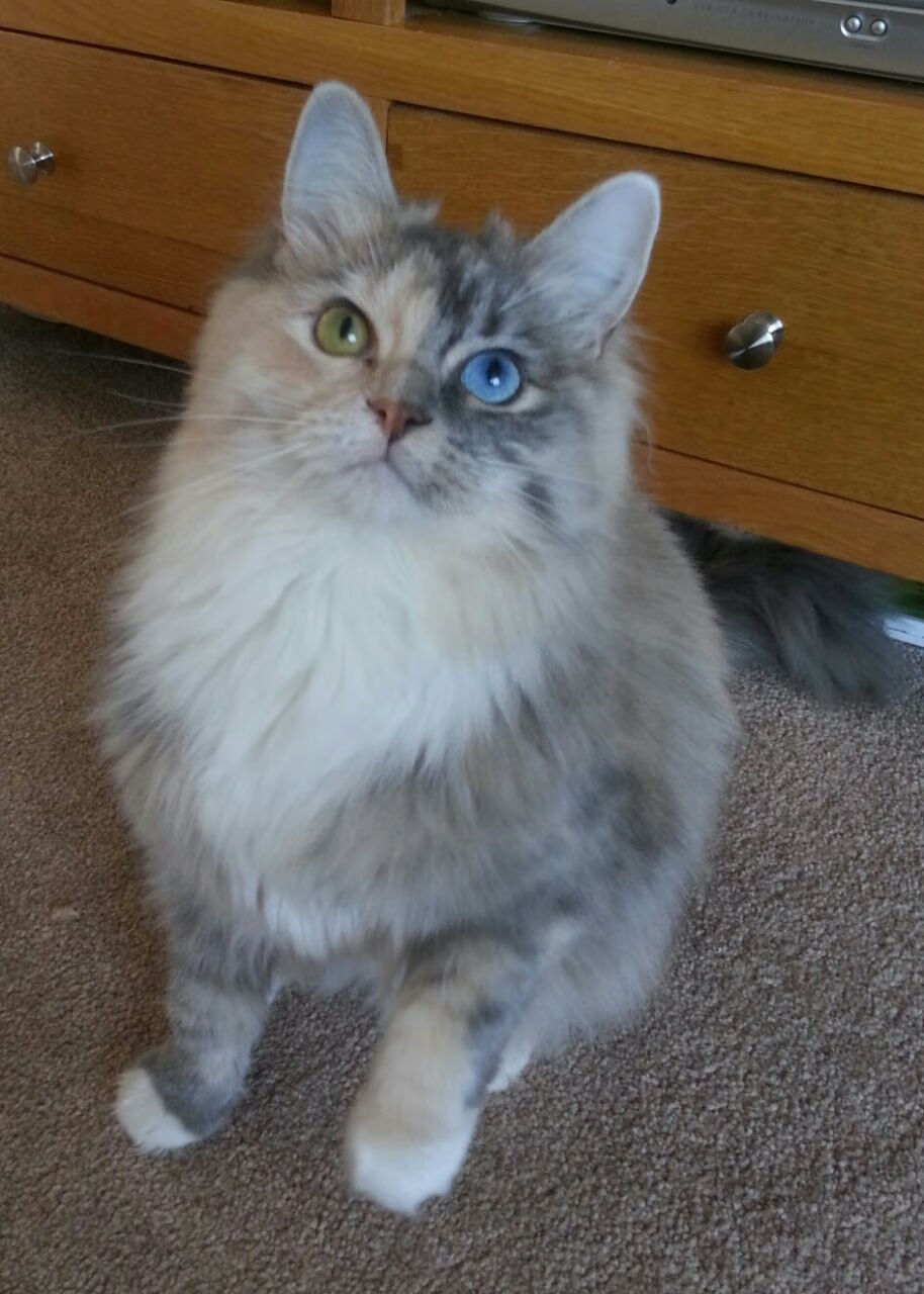 马刺终结者降临，当圣城棋局遇上辽宁铁骑，莫兰特一球定江山