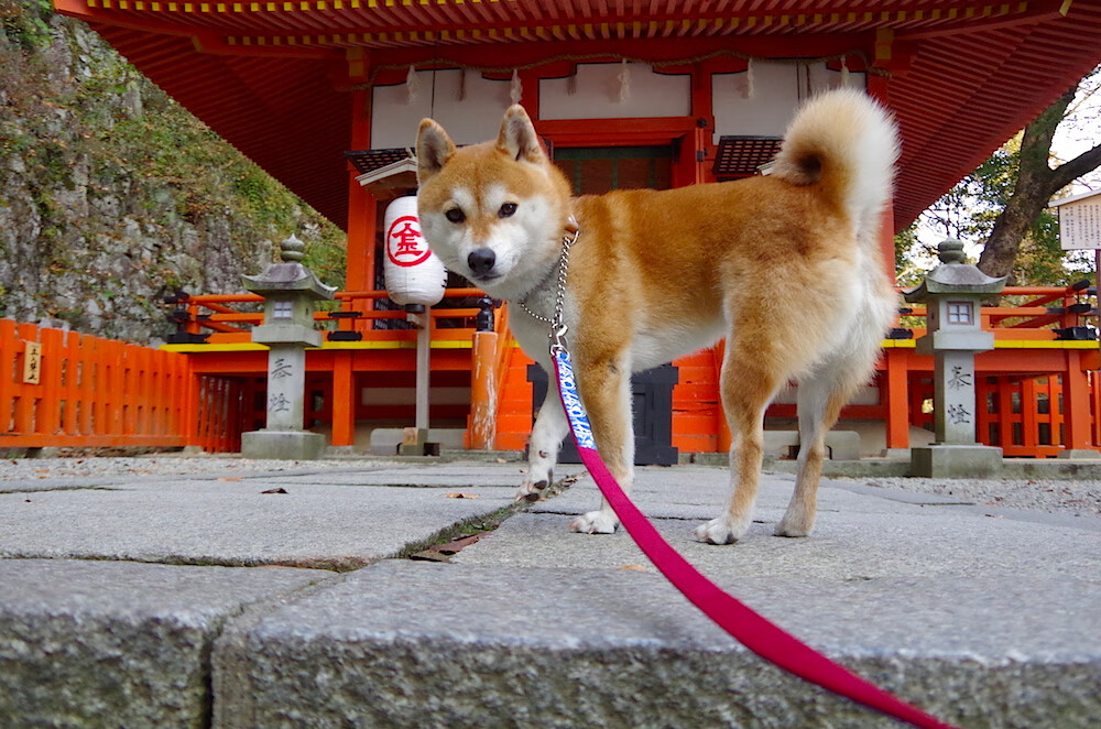 巴黎王子公园的加冕礼，欧冠决赛夜，姆巴佩完成漫长救赎