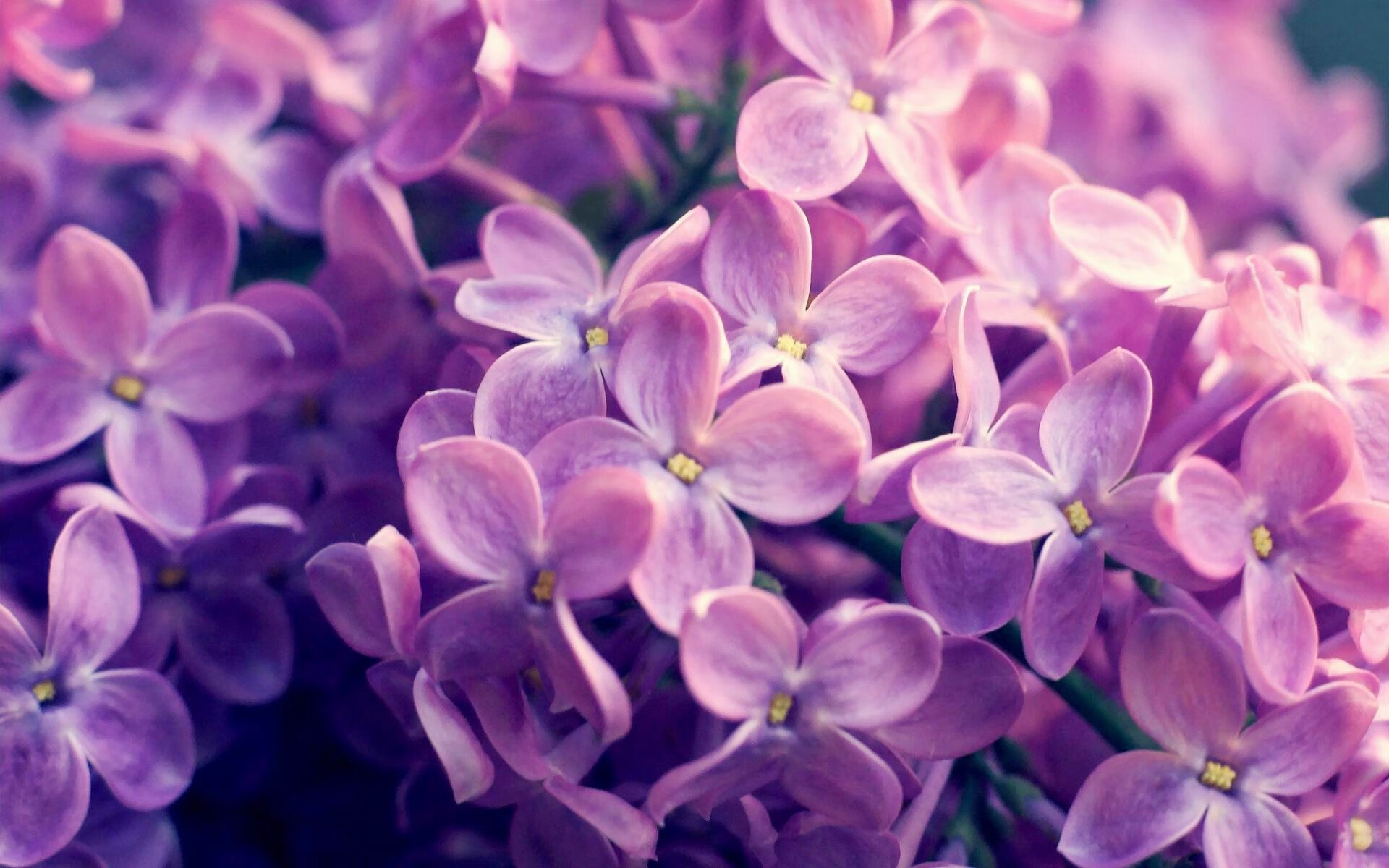 爱游戏APP-冰封十九年的王座，被他推倒最后一厘米