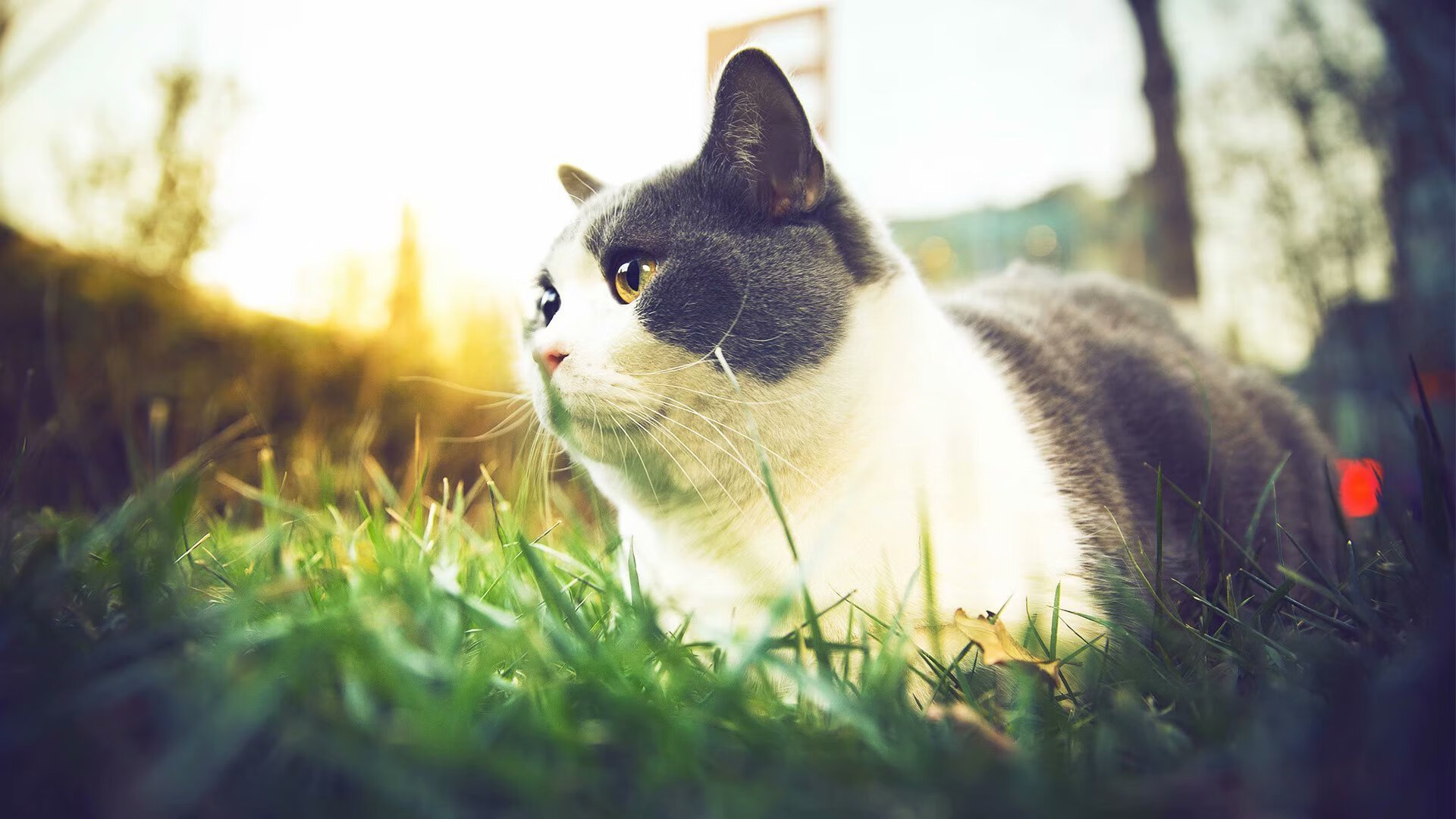 无声巨塔，斯通斯在美加墨的暗夜中，重构中后卫的定义