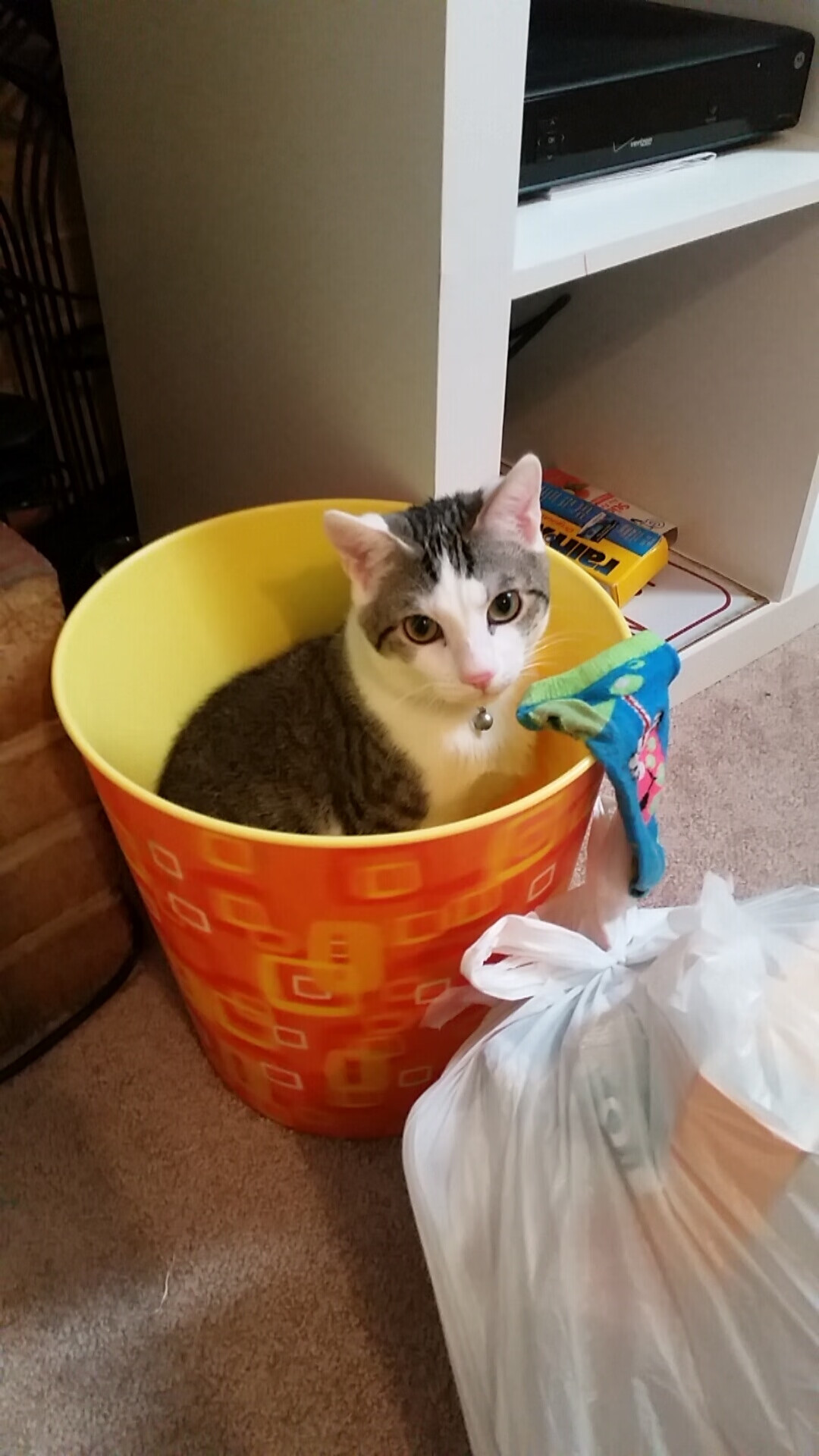 枪声今夜为谁而鸣,当足球不再是足球