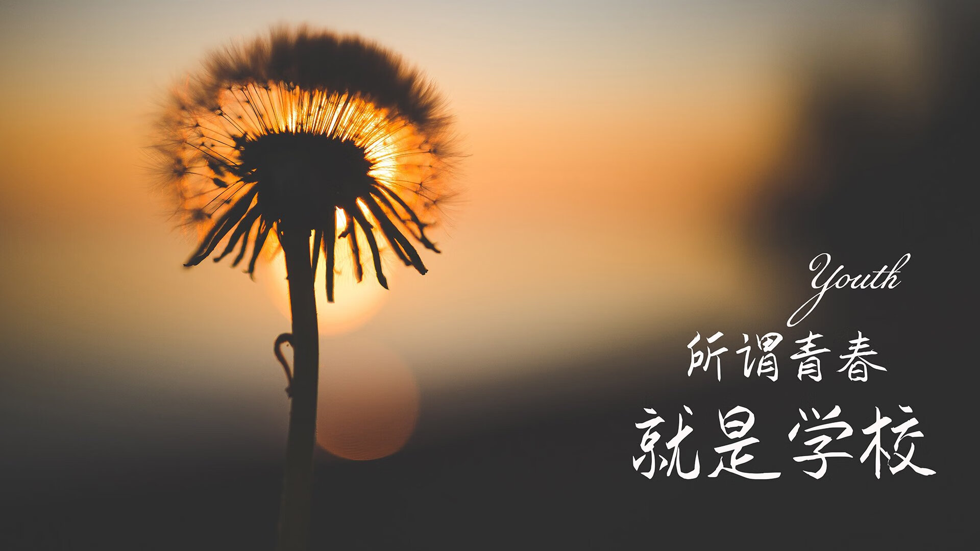 孤骑破阵,当西亚卡姆扛起猛龙那一刻,真正的猛龙才睁开双眼