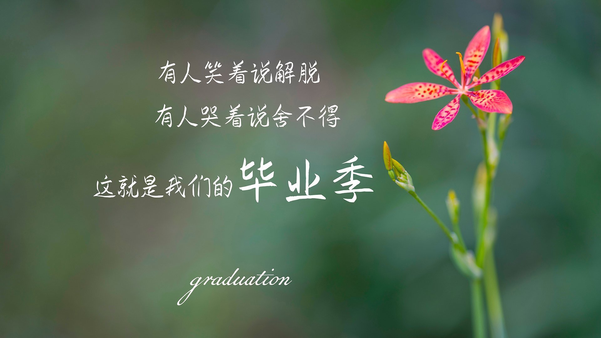 南美飓风席卷东欧铁骑,厄瓜多尔四球碾压波兰,佩德里独造三球闪耀2026世界杯B组