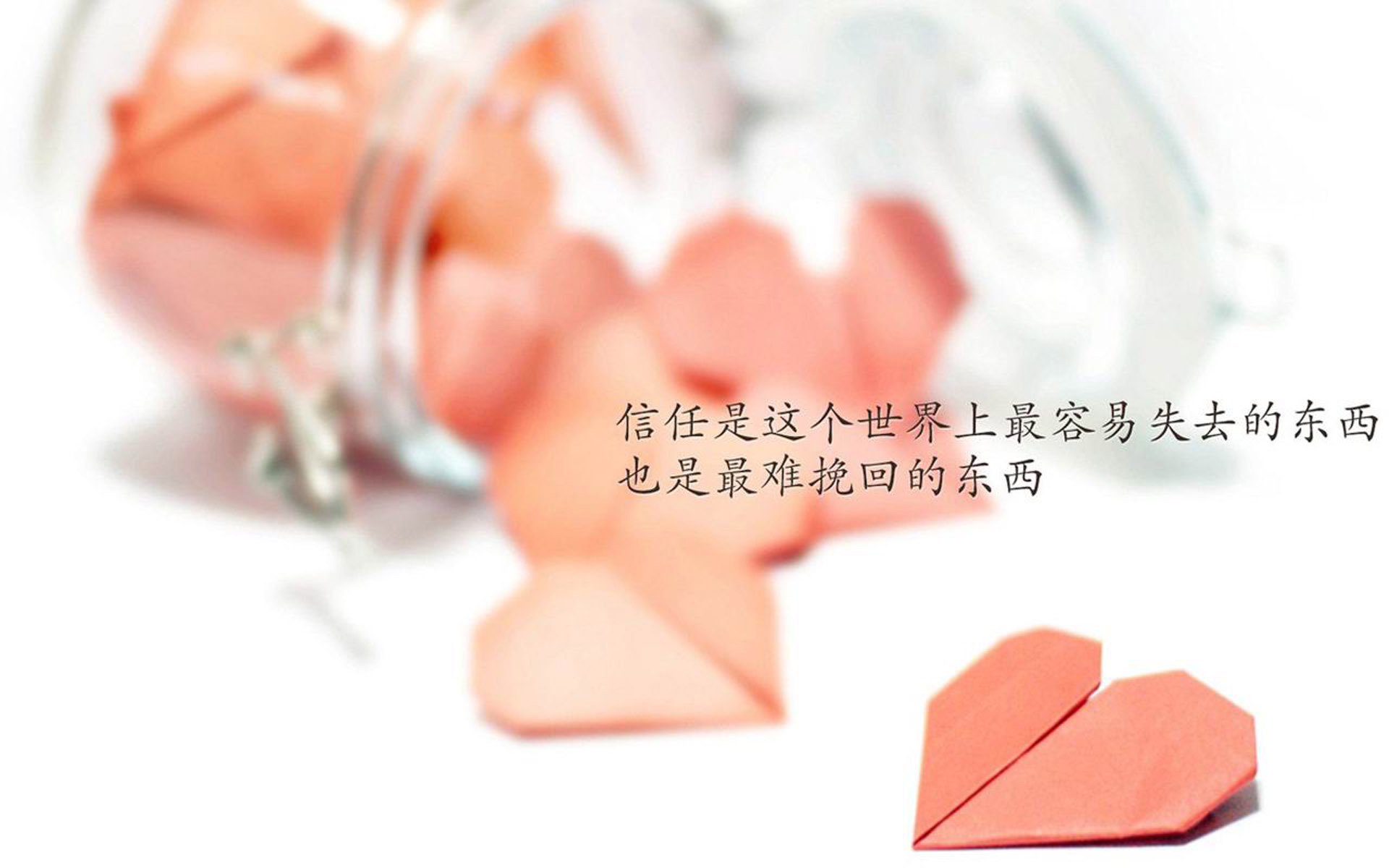 橙衣军魂刺穿暹罗之夏，范戴克一剑封喉，葡萄牙巨轮碾过2026世界杯E组迷雾
